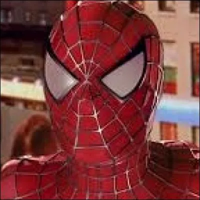 En quelle année est sorti le premier film de Spider-Man ?