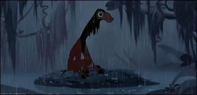 Pacha avait raison. Yzma me cherchait pour me tuer. Et moi je lui ai dit de partir... À ce moment-là, j'avais vraiment touché le fond.
Cette nuit-là, Yzma et Kronk dormaient paisiblement dans leur tentes. Mais soudain Kronk se souvint que :