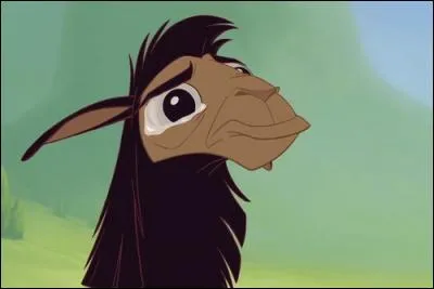 Le lendemain, je m'habituais péniblement à me comporter en lama. À manger de l'herbe (Bwêêrk ! C'est presque pire que d'avaler les gougères aux épinards de Kronk ! ). Et pourtant, la chance me souriait de nouveau car au beau milieu des lamas qui parsemaient le champ, j'ai retrouvé...