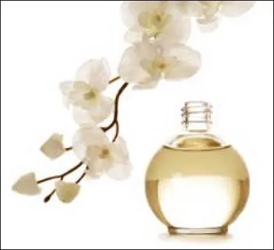 Quels mots ne sont pas synonymes de parfum ?