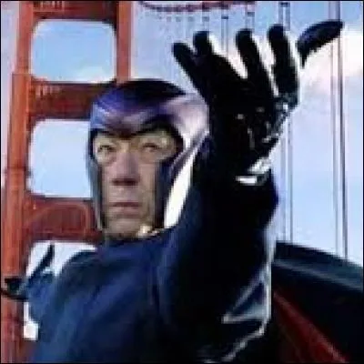 De quoi Magnéto, de X-Men, est-il un survivant ?