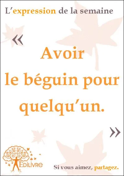 Si on "a le béguin pour quelqu'un", cela veut dire :