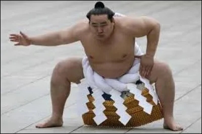 Après leur carrière professionnelle, les sumotoris maigrissent rapidement et parviennent en quelques mois à retrouver un poids normal pour leur taille.