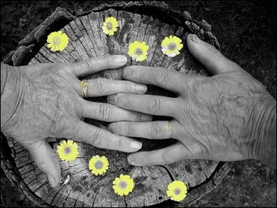 Journée des vieillards instaurée en 1951, elle est devenue la semaine nationale de retraités et personnes âgées en 1977, quel est le nom de cette semaine ?