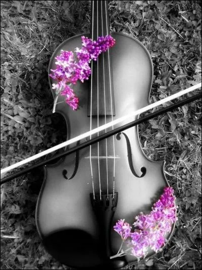 A qui appartient la chanson "La semaine prochaine" ?