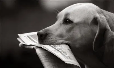 Lequel de ces magazines n'est pas édité toutes les semaines ?