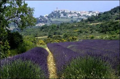 Nous terminerons notre promenade d'aujourd'hui de ce village aux rues étroites qui nous permettra de découvrir une superbe vue sur le Tricastin mais quel est son nom ?
