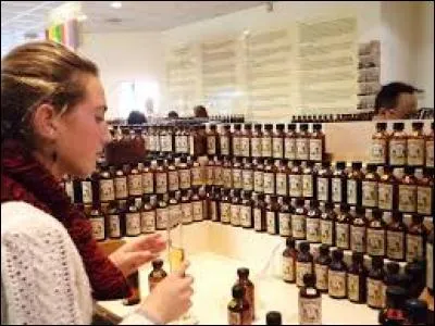 Qu'est-ce qu'un parfumeur ?