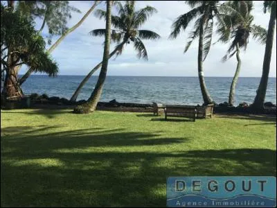 Où l'agence immobilière Degout est-elle située ?