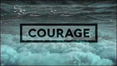 Lequel de ces mots n'est pas un synonyme de courage ?