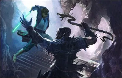 Qui remporta le duel opposant Luke Skywalker à Shimmra, seigneur suprême des Yuuzhan Vong ?