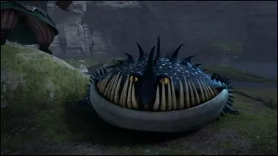 Dans les épisodes, Stoïck apprivoise Thornado. De quel type est ce dragon ?