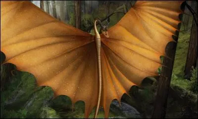 Selon le Manuel, quel dragon, semblable au Typhonmrang, a les ailes tranchantes ?