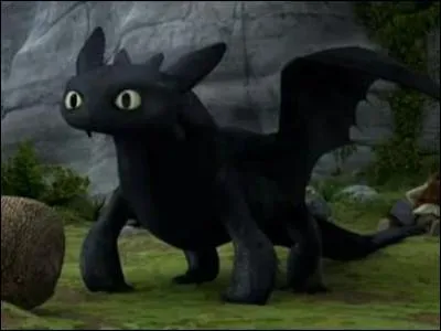 Sur quelle partie de la queue le dragon est-il blessé ?