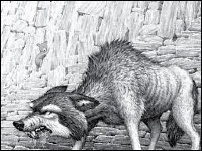 Qui est le Vieux Cag ?