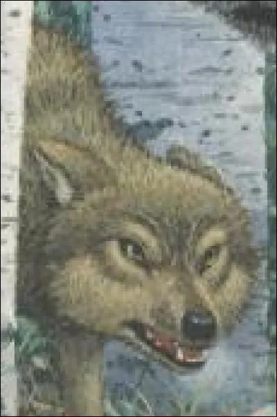 Comment s'appelle le rival de Faolan, le loup jaune à la dent ébréchée ?