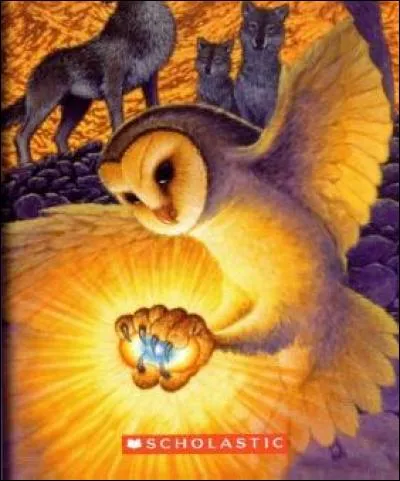 Pourquoi les chouettes confondent-elles Nyra et son fils, Nyroc ?