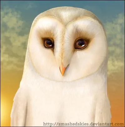 Sous quel prénom est maintenant connu Nyroc ?