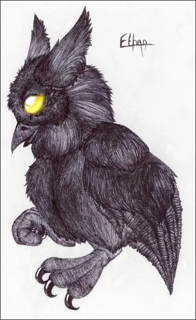 Qu'est en réalité Nyra ?