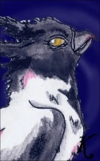 Dans les légendes, quelle hagsmonne est la sorcière ?