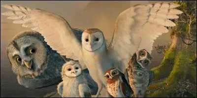 Qui sont les membres de la «Petite bande» ?