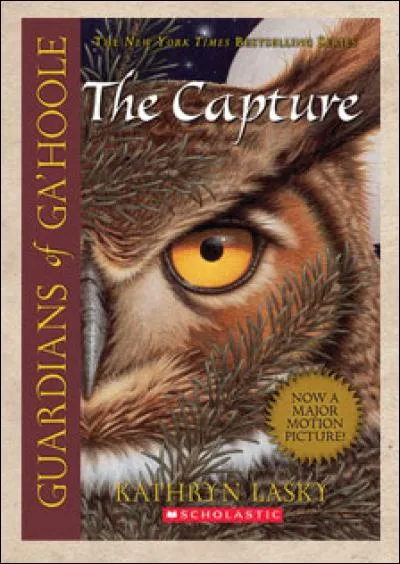 Qui sont les deux chefs de la Pension St-Ægolius pour chouettes orphelines ?