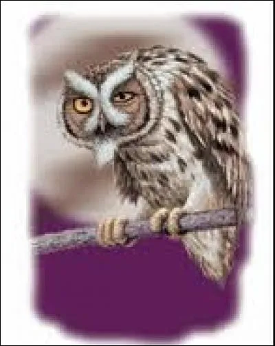 Qui est Ezylryb, alias Lyze de Kiel ?