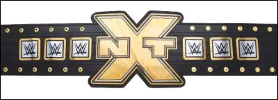 Qui a eu le plus long règne du "NXT Championship" ?