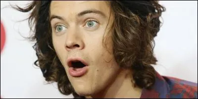 Harry Styles est amoureux de quelqu'un. Qui est-ce ? (The First)