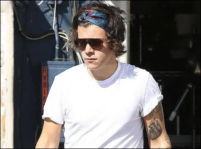 Quel est le tatouage qu'a Harry au milieu de son torse "muscl&eacute;" ?