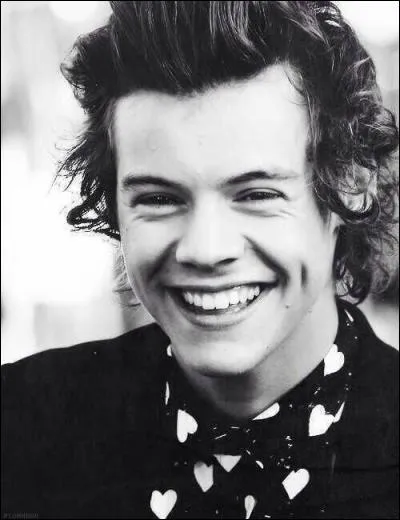 Quel est le nom complet d'Harry ?