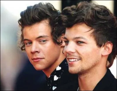 La majorit&eacute; des directioners ship...