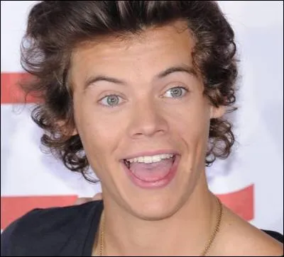 Quel est le type des photos que Styles poste sur Instagram ?