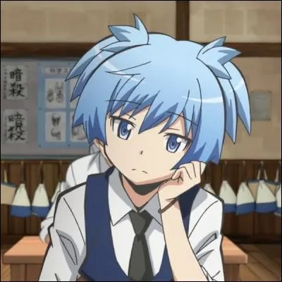 Dans le manga "Assassination Classroom", quelle est la matière la moins aimée par Nagisa ?