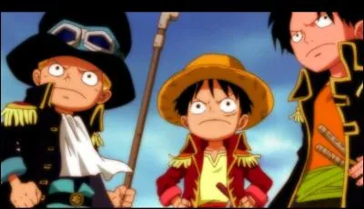Comment se nomment les 2 frères de Luffy ?