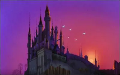 "Dans la plus haute tour du château
Une princesse s'est endormie
Elle s'est piquée à un fuseau
Qui l'a rendue froide comme la nuit
Un jour viendra un prince charmant
Pour toi, Ô Belle au Bois Dormant
Il affrontera tous les dangers
Pour que tu puisses te réveiller"

À qui appartient ce château ?