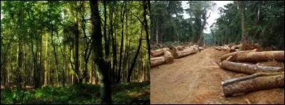 Il est vrai que, souvent, il y avait « danger » de recevoir la visite du seigneur. Le portefeuille de l'époque souffrait des taxes et impôt.
Mais, quel était l'objet de la taxe « danger » ?