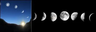 A quel moment pouvez-vous observer le « décours » de quelque chose ?