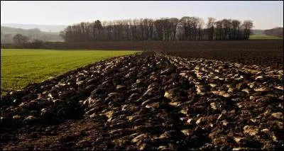 Bon, le travail est fait, on vient de « dérayer », allons-nous-en ! 
Que veut dire le verbe « dérayer » ?