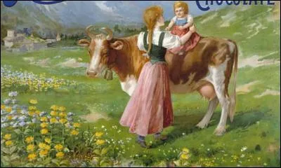 Cette plaque de métal émaillé, on y distingue entre autres fleurs, celles des edelweiss, donnera un charme rétro dans votre cuisine. À quoi correspond-elle ?