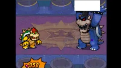 Durant le combat contre Bowser noir, celui-ci fait appel à des tas de sbires de Bowser en version sombre, mais quel sbire ne voit-on pas dans ce combat ?