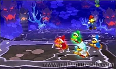 Lors du troisième et dernier combat face à Kamek, celui-ci crée plusieurs copies de lui-même mais chacune à sa propre couleur. Quelle est la couleur du Kamek qui soigne les autres ?