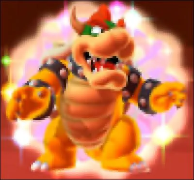 Durant le combat contre Bowser géant, lequel de ces sbires n'apparaît pas du tout ?