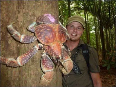 Quel est le nom cet animal ?