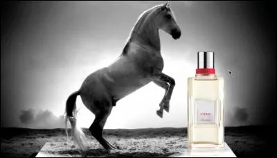 Quel parfum de Guerlain est représenté par cette publicité ?