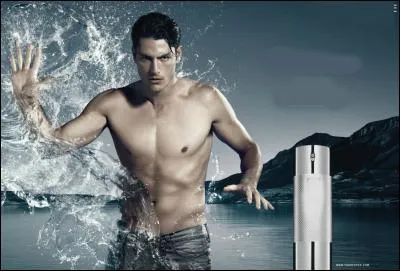 Les parfums contiennent souvent du musc, qu'appelle-t-on musc ?