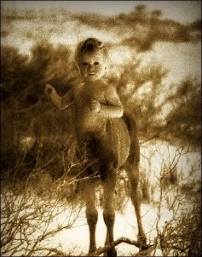 De leur union naîtra un centaure : qui est-il ?