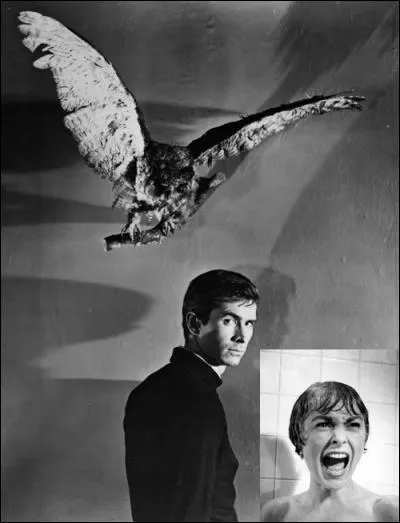 Film de 1960  : Marion Crane vient de s'enfuir après avoir volé 40 000 dollars. Elle trouve refuge dans un motel isolé. Hélas pour elle, la voilà aux prises avec le gérant de l'hôtel, Norman Bates, habité par l'esprit d'une mère possessive.