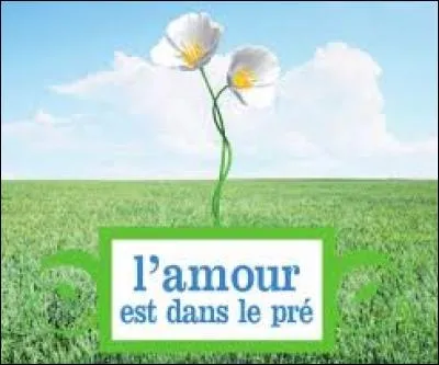 Sur quelle chaîne est diffusée chaque année l'émission "L'amour est dans le pré" ?