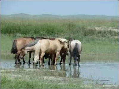 Quel est le dernier type ?
